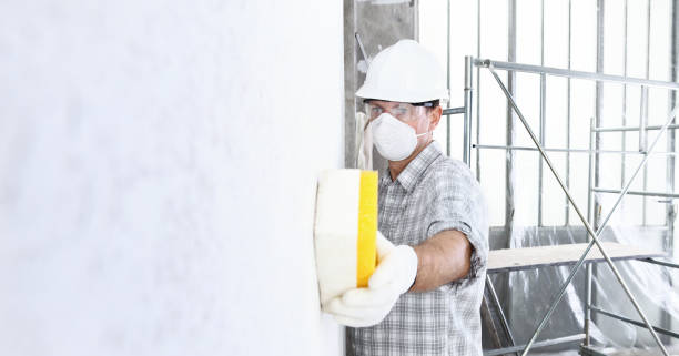 Best Attic Mold Removal in Lenox, IA