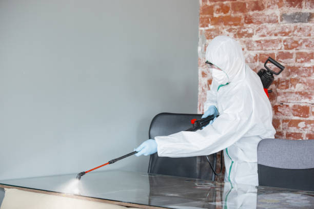 Best Emergency Mold Remediation in Lenox, IA