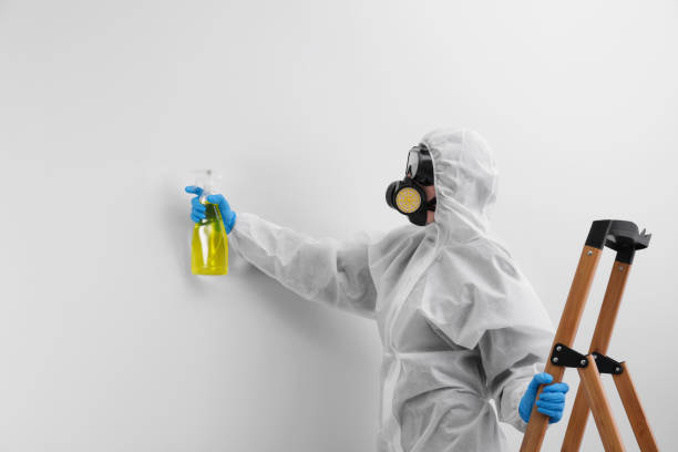 Trusted Lenox, IA Mold Removal Experts